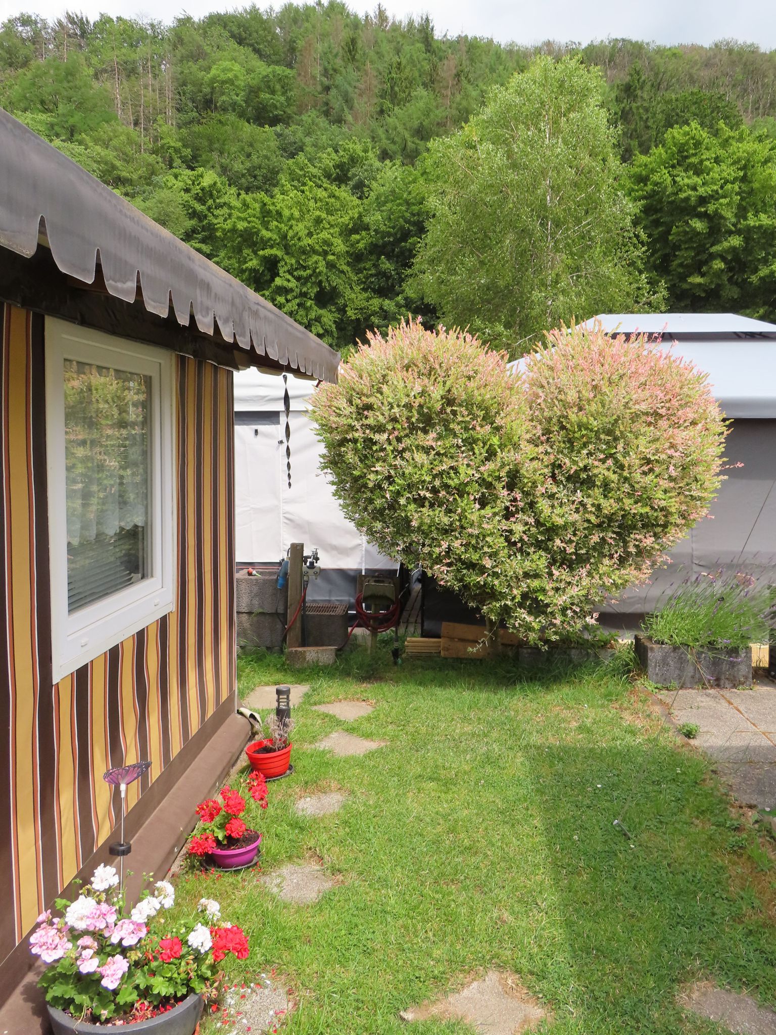 Waldcamping Glüder — photo 3